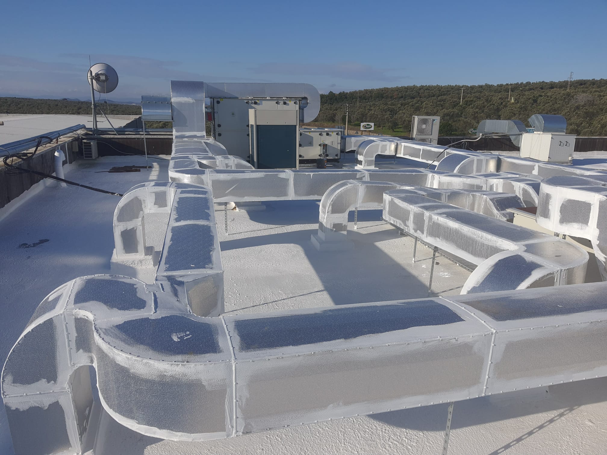 BUNGE GIDA görseli 2